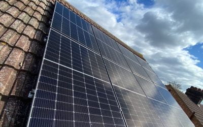 How Solar Panels Can Transform Your Energy Usage